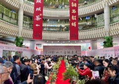 ��ʮ������������������������