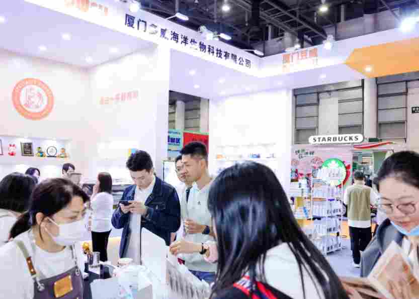 2026�ڶ�ʮ�˽��й����ʱ���չ����