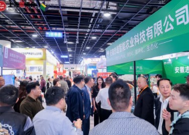 2025���й������ݣ�������ӡ������ӡˢ����չ����