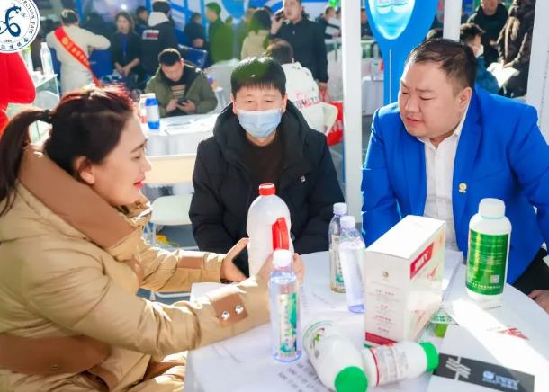 2025���ʮ�����Ϻ������鱦չ����