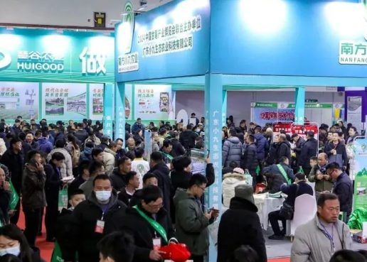 2025�������˶���Ʒ��ʱ��չ������վ��