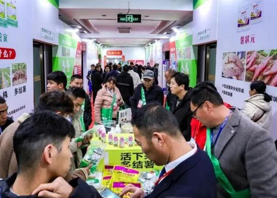 2025���й�����򣩹��ʲ��ҵ������