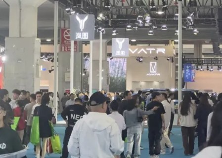 2025�ڶ�ʮ�����й����ʰ뵼�岩����