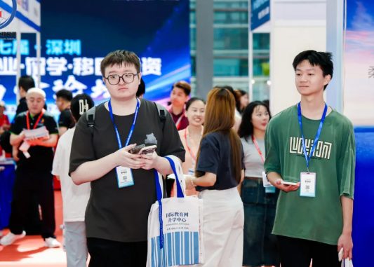 2025�ڶ�ʮ�����й����ʰ뵼�岩����