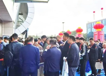 2025����̨�����ʳ�����Ʒ������(����չ) ��̨��è��