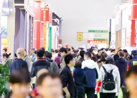 2025���������ݾ�����������װ��չ����