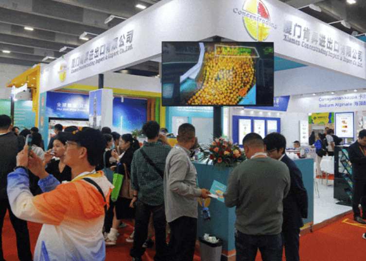 2025���ڹ��ʾƵ�Ҿ����ö��Ƽ���װ���չ