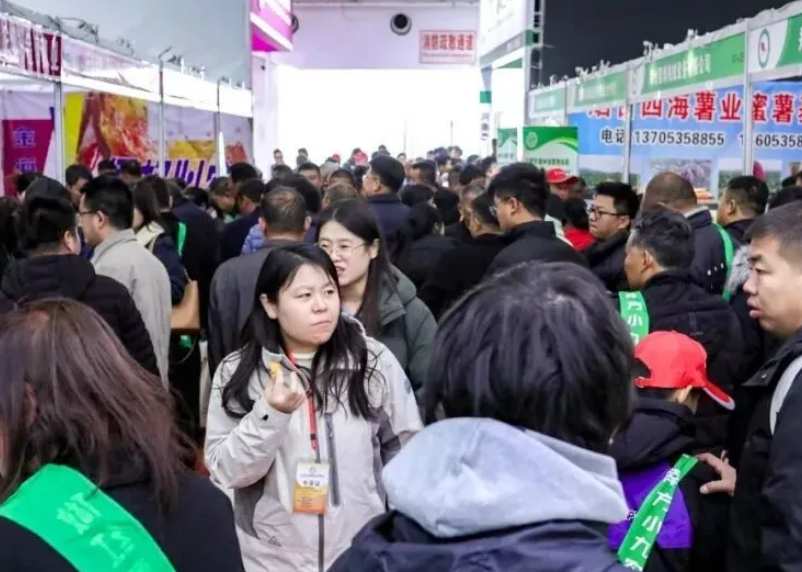 2026ɽ������ӡˢ��װ��ҵչ����