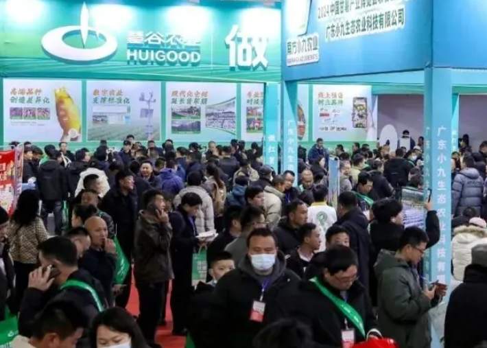 2026��29����ֽ��ɽ�������ʣ�������ֽ��������Ʒչ����