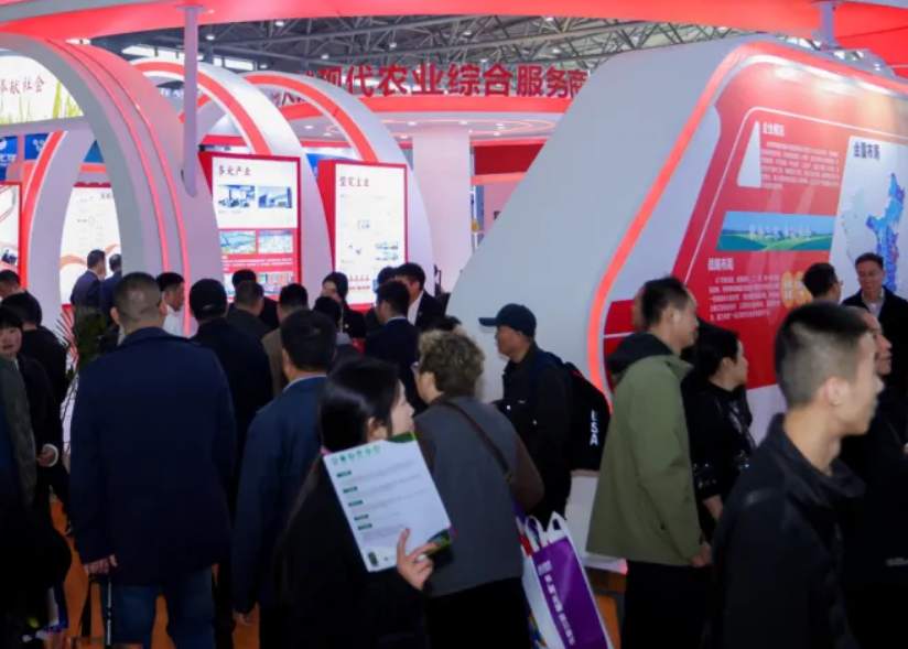 2026��28��ɽ�����Ϲ���ˮչ��ɽ������ˮ��չ����