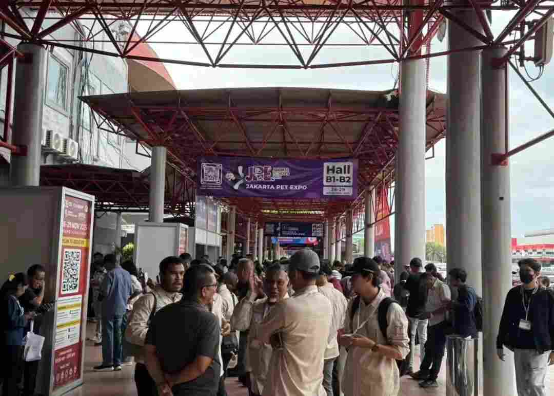 2025���ʹ��ʾƵ���Ʒ������ҵ������