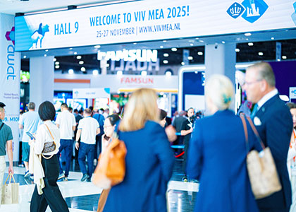 2026�ڶ�ʮһ���Ϻ�������������������չ����