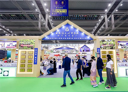 ACE2026���Ľ����޲���չ����