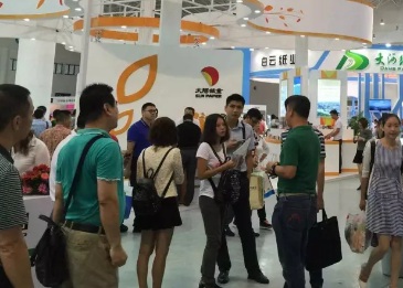 2026�ڶ�ʮ�Ž���Ϲ��ʻ���չ����