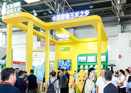 2026��������ʹ��̽��蹩Ӧ��������