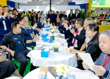 2026��ʮ�Ž��й�������������Դ�綯��չ����