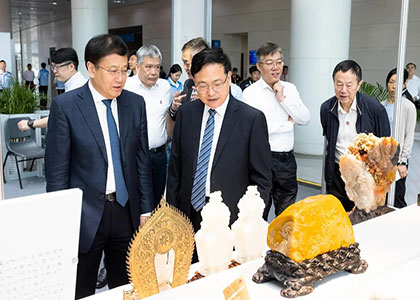 2026���Ľ��������ɶ���ũ�ʲ�����