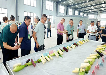 2026���ʮ����ɶ���ҵ������