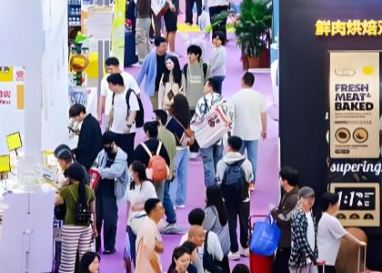 2026�������������ﲩ����-����չ