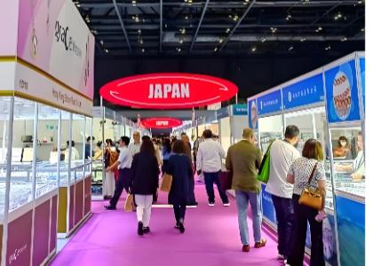 2026�걱�������鱦����չ